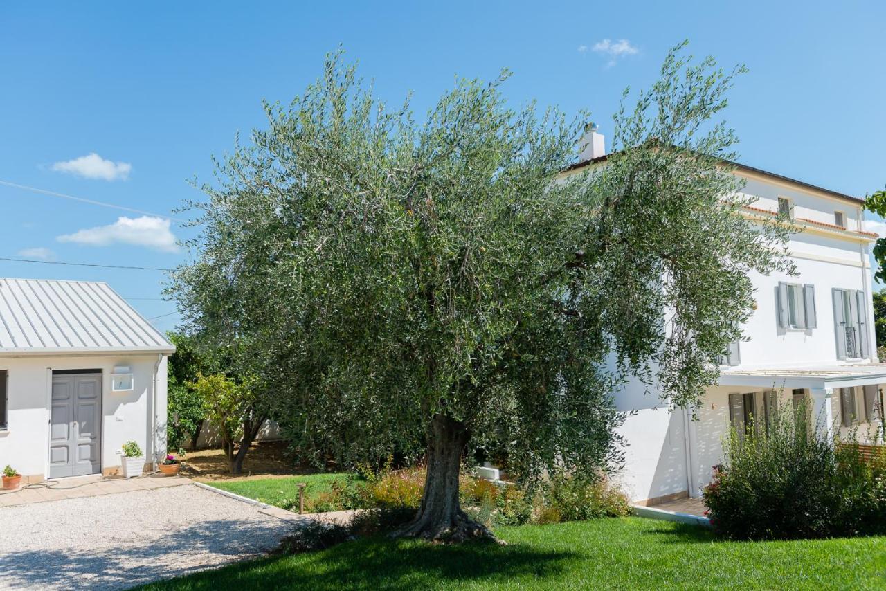 B&B Casale Savini Ortona Εξωτερικό φωτογραφία